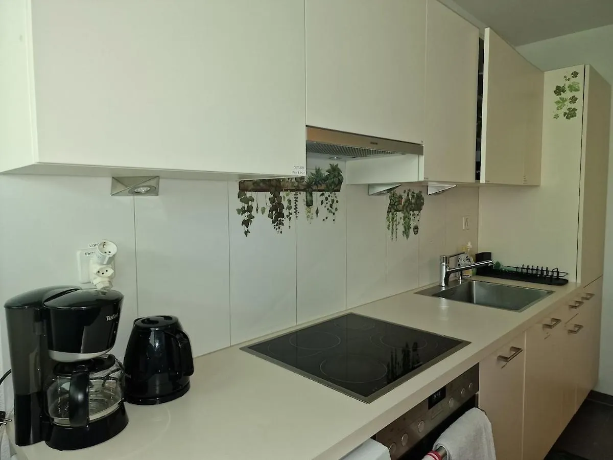 Bright And Cozy Apartment-Central Basilea Apartamento