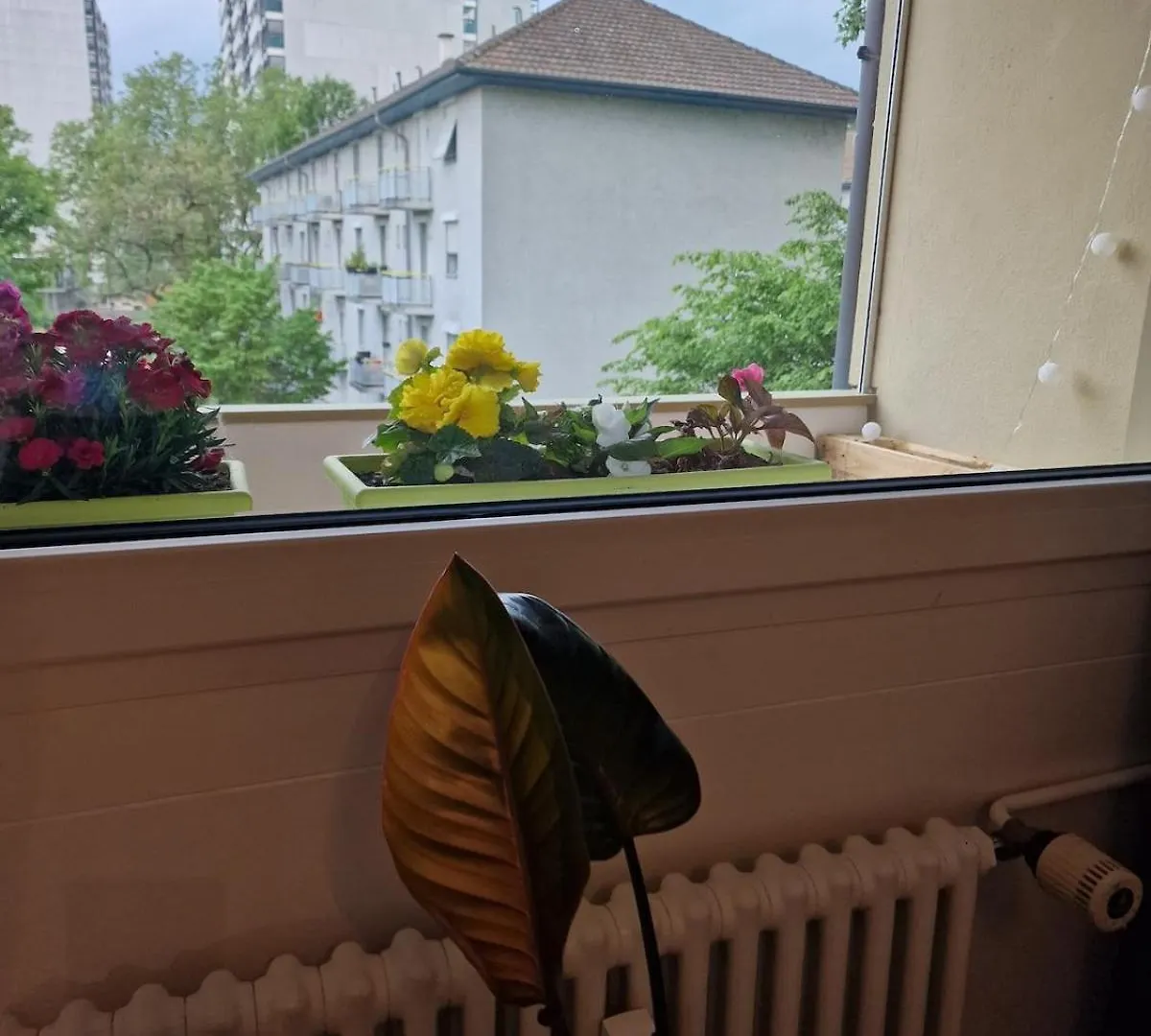 Bright And Cozy Apartment-Central Basilea